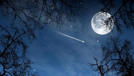 Moonlit Night with Twinkling Stars wallpaper