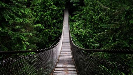 Lynn Canyon Suspension Bridge - Canada wallpaper