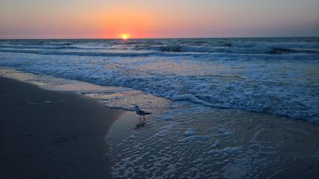 Sunrise Serenity on the South Carolina Coastline wallpaper