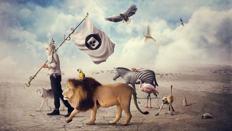 Majestic Lion Under a Dramatic Sky wallpaper