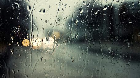 Mystical Rainy Day Reflections wallpaper