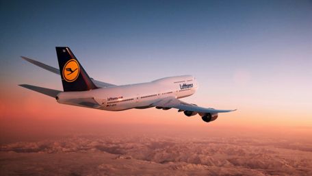 Majestic Sunset Flight wallpaper