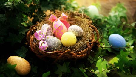 Easter Joy with Colorful Eggs in a Nest wallpaper