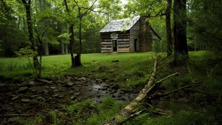 Serene Forest Cabin Retreat wallpaper