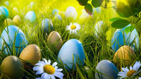 Easter Morning Bliss in Spring wallpaper