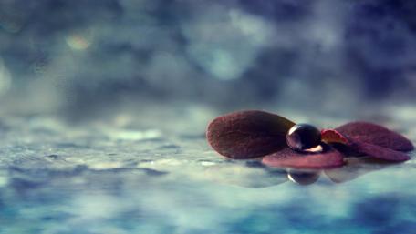 Mysterious Abstract Serenity wallpaper