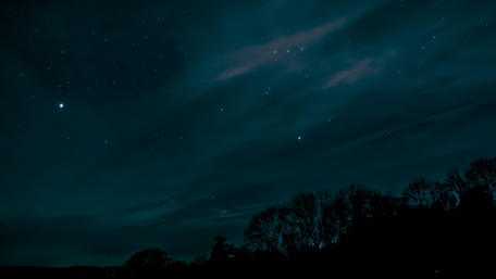 Starry Night Over Tranquil Forest wallpaper