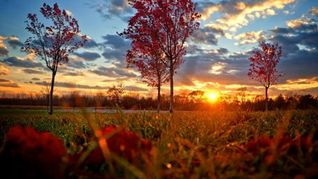 Autumn Glow at Sunrise wallpaper