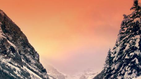 Majestic Sunset Over Snowy Pines wallpaper