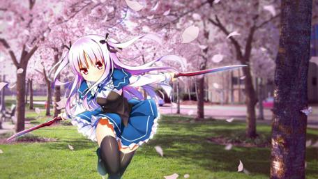 Blossoms and Blades in Springtime Battle wallpaper