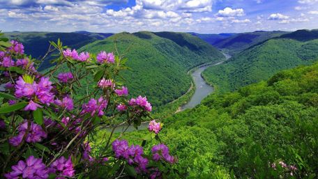Mountain Blossoms Along River Valley wallpaper