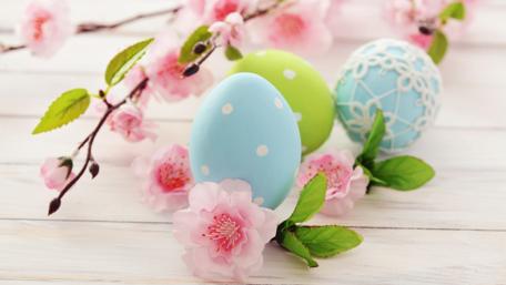 Springtime Easter Delight wallpaper