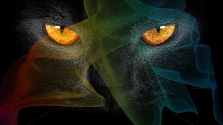 Radiant Cat Eyes in Vibrant Swirls wallpaper