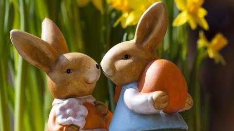 Happy Easter Bunnies in Love 4K Wallpaper wallpaper