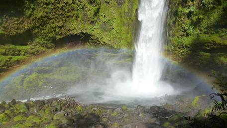 Waterfall Wonder with Rainbow and Moss wallpaper