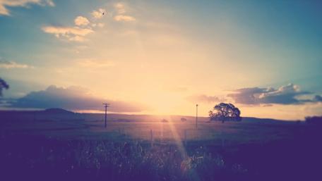 Serene Sunset Over Vast Fields wallpaper