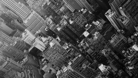 Monochrome Urban Jungle wallpaper