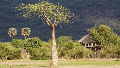 Majestic Nature of Malawi National Park wallpaper