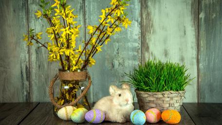 Easter Charm Vibrant Decor Display 4K wallpaper