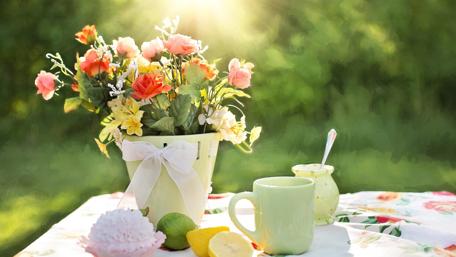 Spring Blossoms and Morning Sunshine wallpaper