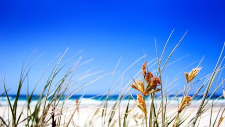 Blue Sky and Seashore Serenity wallpaper