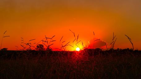 Brazilian sunset wallpaper