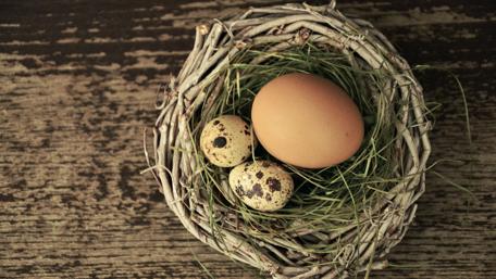 Easter Eggs in a Rustic Nesting Scene wallpaper
