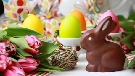 Easter Celebration with Chocolate Bunny and Tulips wallpaper