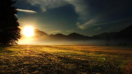 Serene Sunset Over a Tranquil Meadow wallpaper