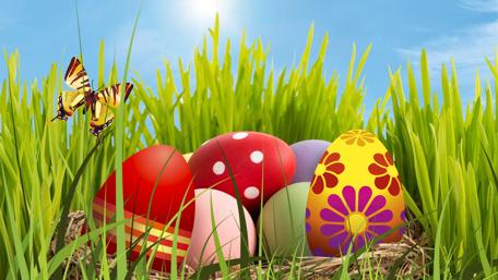 Easter Eggs in Spring Sunshine wallpaper