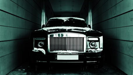Majestic Luxury in the Shadows wallpaper