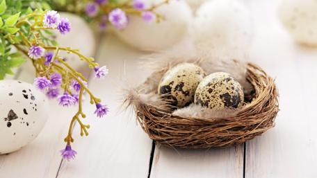 Easter Nest with Delicate Eggs and Blooms wallpaper