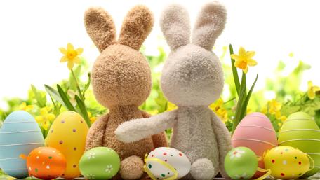 Easter Bunny Couple Celebrating Springtime wallpaper