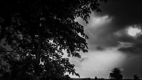 Mysterious Monochrome Landscape with Trees and Clouds wallpaper