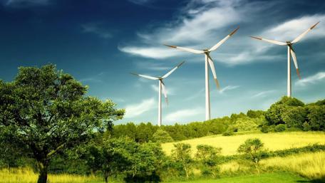 Serene Landscape with Wind Turbines and Greenery wallpaper