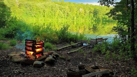 Campfire by the Tranquil Lakeside Forest wallpaper