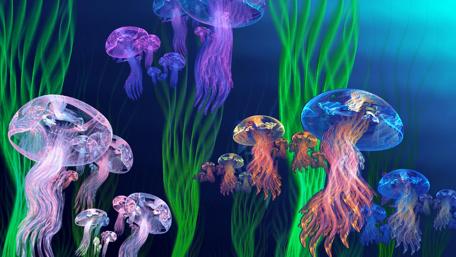 Underwater Fantasy Realm wallpaper