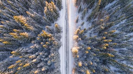 Winter Road Through Snowy Forest wallpaper