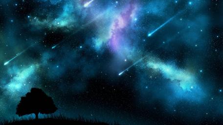 Starry Night Over Tranquil Forest wallpaper