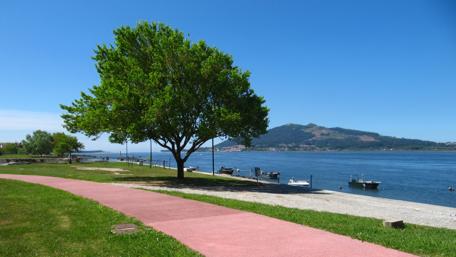 Serene Riverbank Scene with Lush Greenery and Boats wallpaper