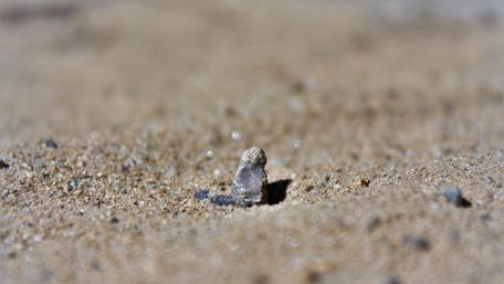 Desert Stones in Focus wallpaper