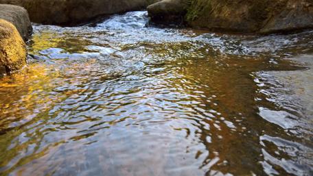 Serenity of a Gentle Stream Flowing Through Rocks wallpaper