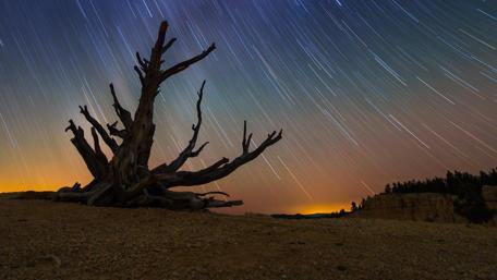 Starry Night Over Desert Landscape wallpaper