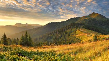 Golden Hour over Verdant Mountain Peaks wallpaper