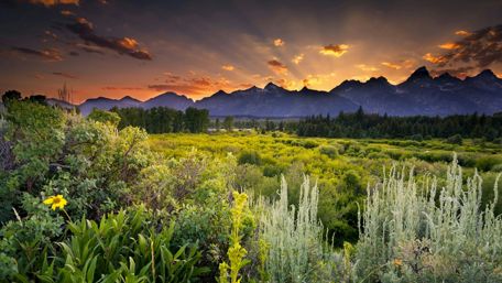 Majestic Sunrise over Grand Teton National Park wallpaper