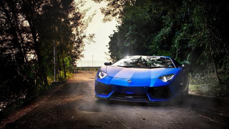 Lamborghini in the Misty Forest Road wallpaper