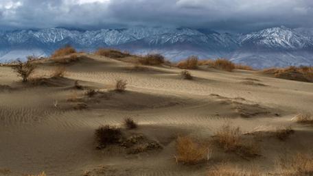 Majestic Desert Landscape with Snowy Mountains wallpaper