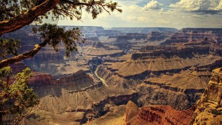 Grand Canyon's Majestic Vista wallpaper
