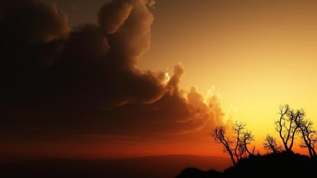 Breathtaking Sunset Over Silhouetted Trees wallpaper