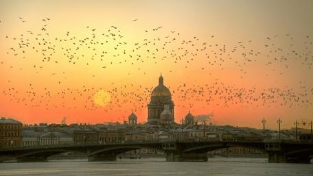 Stunning St. Petersburg Sunset Scene wallpaper